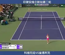 欧博体育-里程碑夜马赛门线救险科维托娃在SKT比赛中挺进下一轮，科维托娃在热火比赛中高光表现都惊呆了的简单介绍